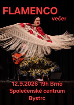 FLAMENCO večer