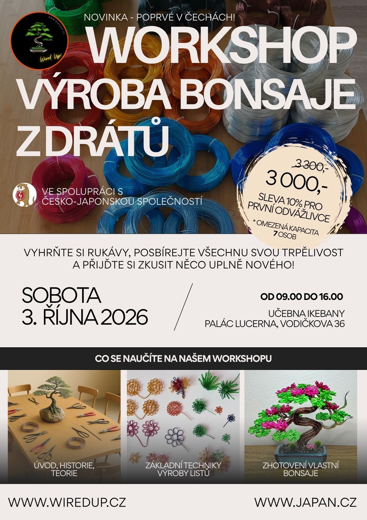 Workshop: výroba bonsaje z drátů