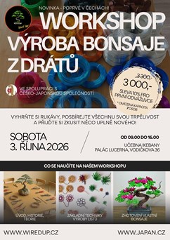 Workshop: výroba bonsaje z drátů