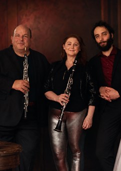 DEMOS Ensemble: Raný romantismus | Komorní koncert