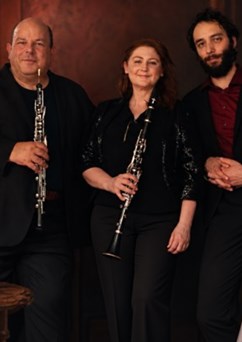 DEMOS Ensemble: Raný romantismus | Komorní koncert