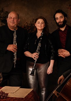 DEMOS Ensemble: Vrcholný romantismus | Komorní koncert