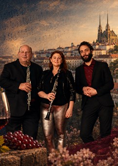 DEMOS Ensemble: Hudba 20. století | Komorní koncert