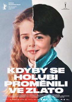 Kdyby se holubi proměnili ve zlato