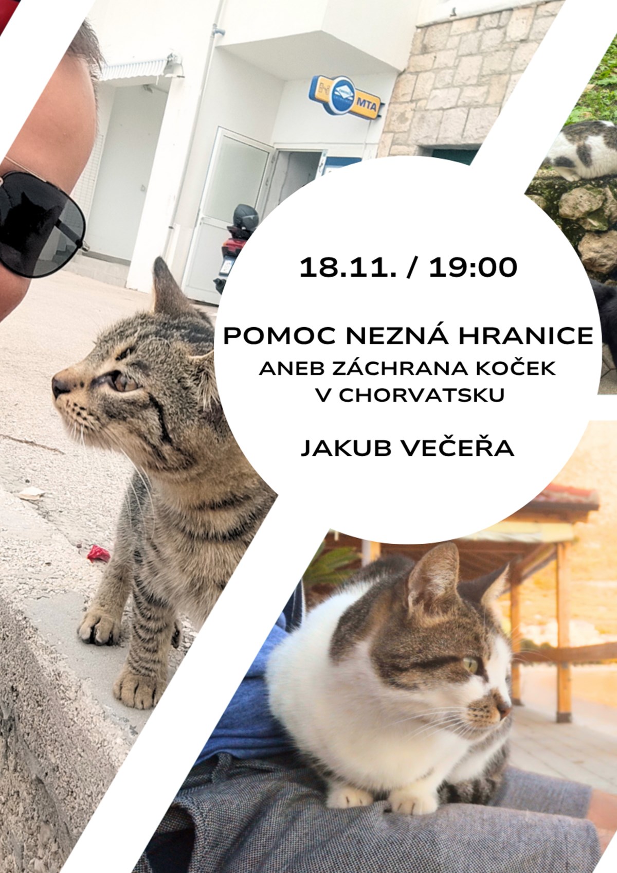 Pomoc nezná hranice aneb Záchrana koček v Chorvatsku