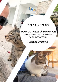 Pomoc nezná hranice aneb Záchrana koček v Chorvatsku
