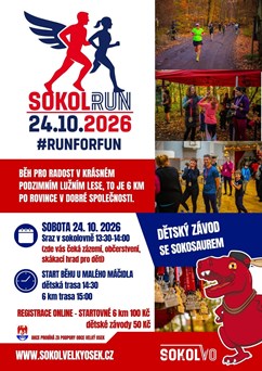 SokolRUN2
