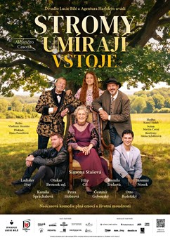 Stromy umírají vstoje