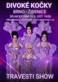 Travesti show Divoké kočky v Brně-Židenicích