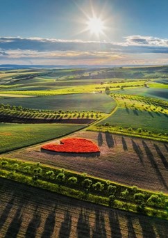 Putování vinohrady Moravského Toskánska