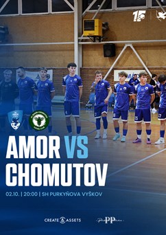 SK Amor Vyškov : Jungheinrich Baník Chomutov