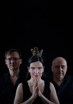 Číro na důchod (Vladimír Václavek, Jana Vébrová, Petr Tichý)