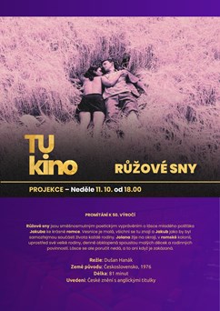 Tukino 2026 / Projekce Růžové sny + diskuze s Ivou Bittovou