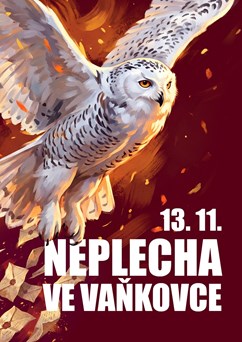 Neplecha ve Vaňkovce