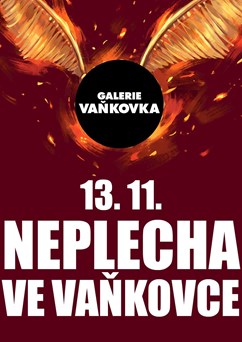 Neplecha ve Vaňkovce
