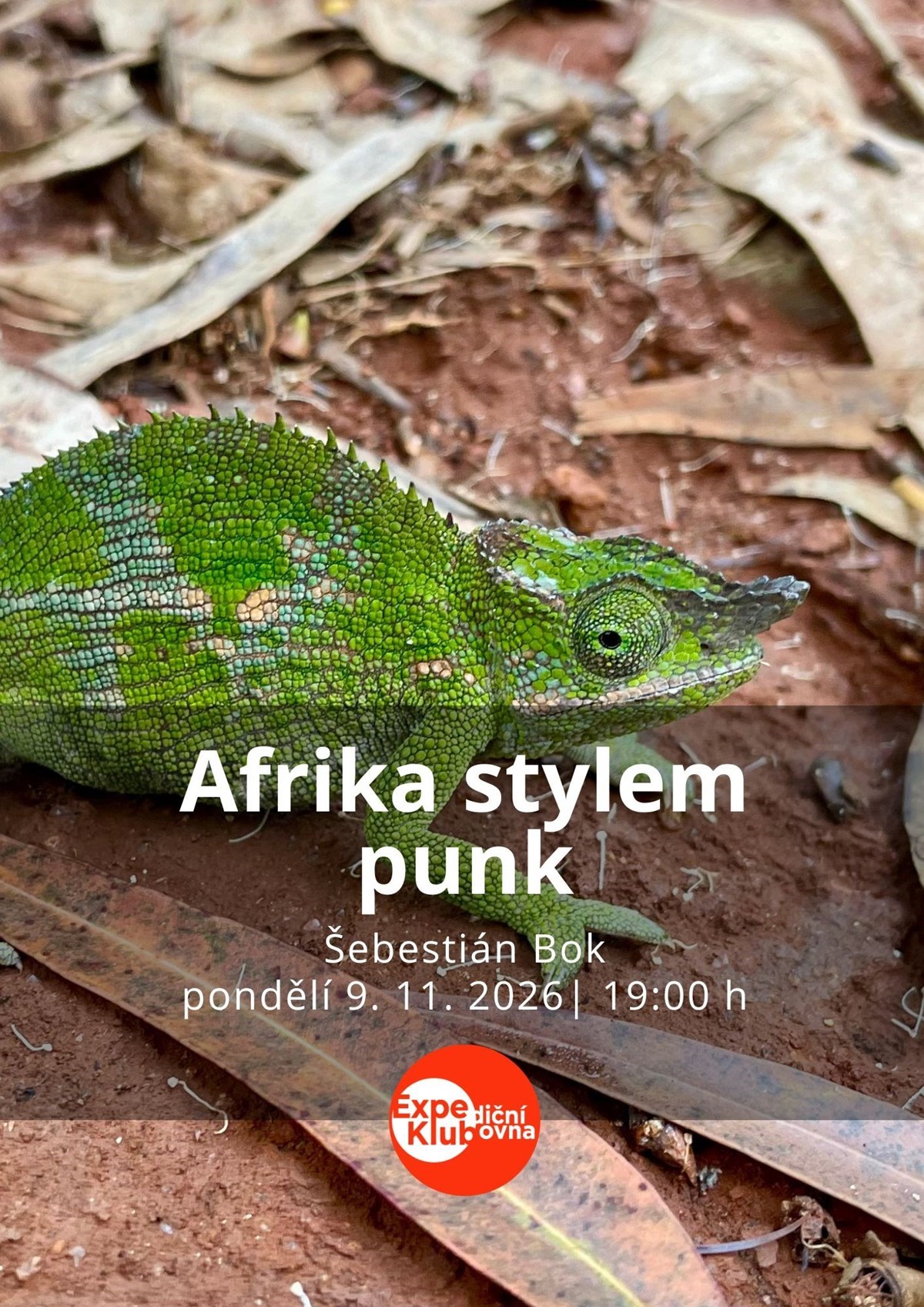 Afrika stylem punk