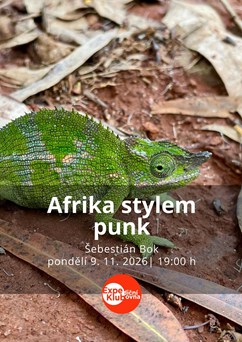 Afrika stylem punk