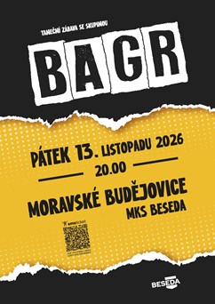 Bagr