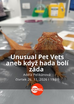 Unusual Pet Vets aneb když hada bolí záda