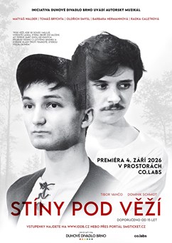 Stíny pod věží