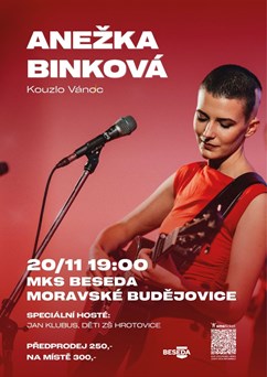Anežka Binková: Kouzlo Vánoc