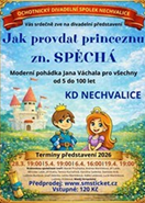 Jak provdat princeznu Zn. Spěchá