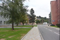 Borovina , Třebíč