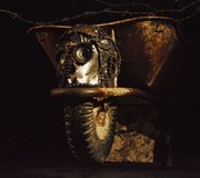 Divadlo Líšeň: Hygiena krve