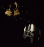 Divadlo Líšeň: Hygiena krve