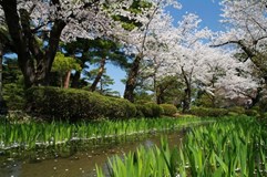 Japonsko neznámé - ze zasněžených hor na tropické ostrovy