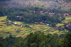 Sulawesi (Indonésie)