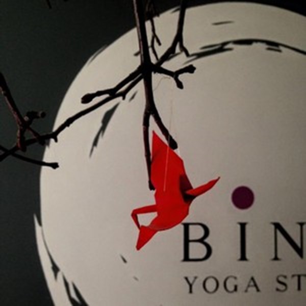 Bindu yoga studio