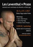 Les Leventhal workshops