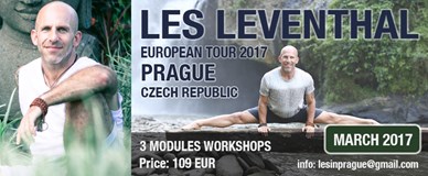 Les Leventhal workshops