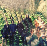 Triptides (USA) + support