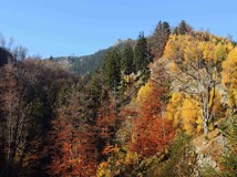 Jeseníky: největší moravská divočina