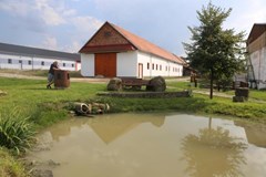 Farma Vrbětice, Vlachovice