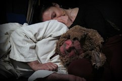 DS Slavkov u Brna: Sen noci svatojánské