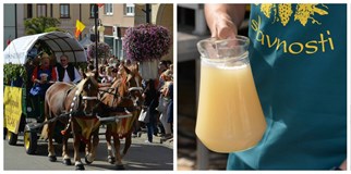 Burčákové slavnosti 2017