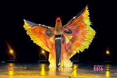 Let's Dance Festival 2017: Oriental Competition