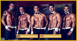 Ladies Night Show Magic Mike