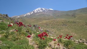 Íránem na pankáče a výstup na Damavand (Adam Blažej)