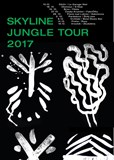 Skyline Jungle Tour 2017