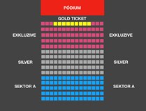 Ladies Night Show Magic Mike