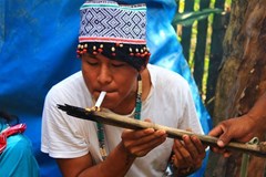 Peru - amazonská očista aneb 3 měsíce mezi šamany