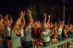 Stock Dobrohostov 2018