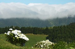 Azorské ostrovy