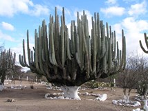 Mexiko a Guatemala
