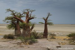 Namibie, Botswana - 4x4 Roadtrip jižní Afrikou