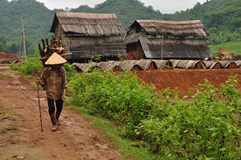 Seve​​​​​​​​​​​​​​​​​​rním Vietnamem nejenom za čajem